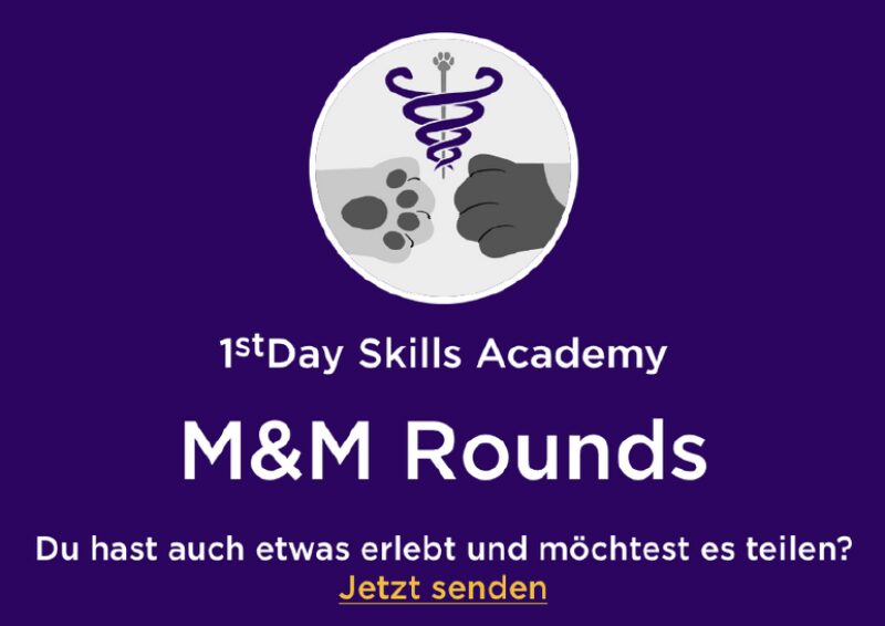 Bildschirmfoto 2025 03 19 um 17 05 35