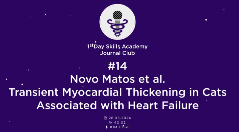 Bildschirmfoto 2025 03 19 um 17 05 58