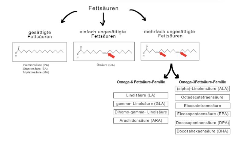 Bildschirmfoto 2025 03 19 um 19 11 08