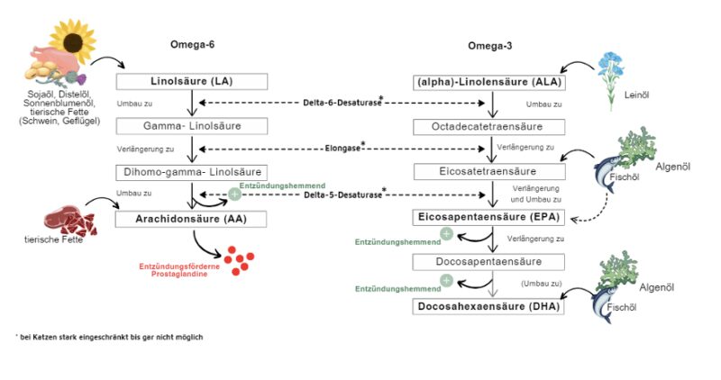 Bildschirmfoto 2025 03 19 um 19 12 33