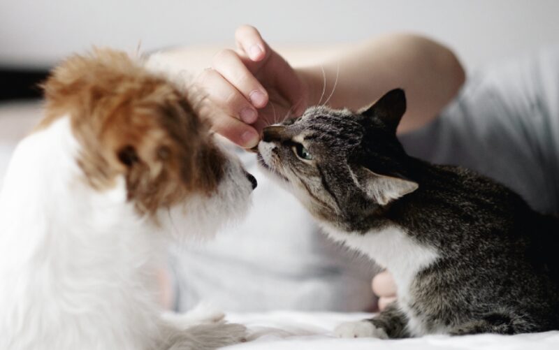 Bildschirmfoto 2025 03 19 um 19 40 26