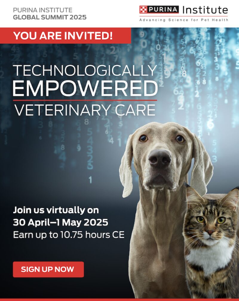 Bildschirmfoto 2025 03 20 um 14 40 02