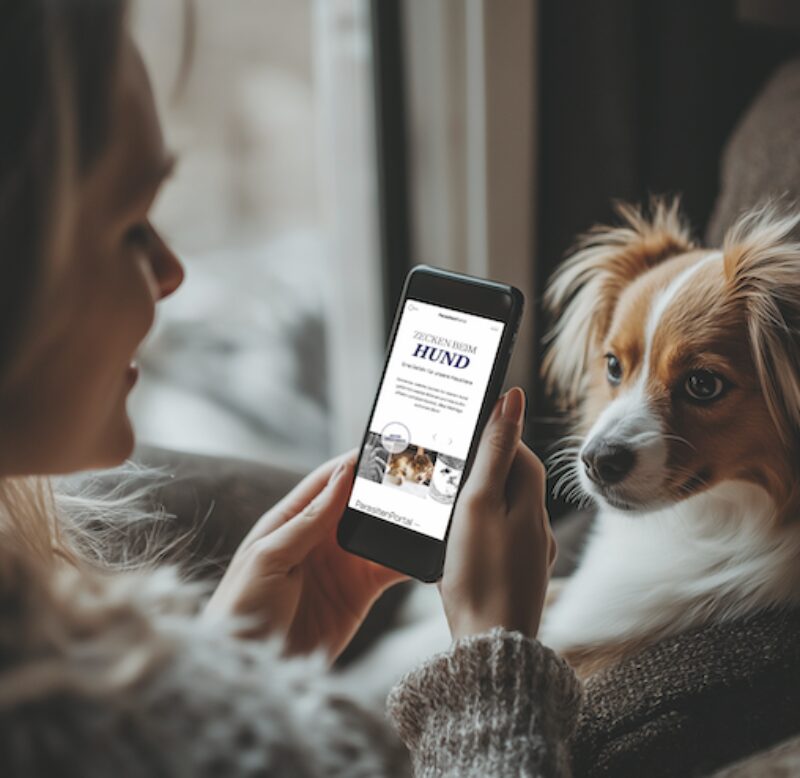 Bildschirmfoto 2025 03 20 um 16 27 56