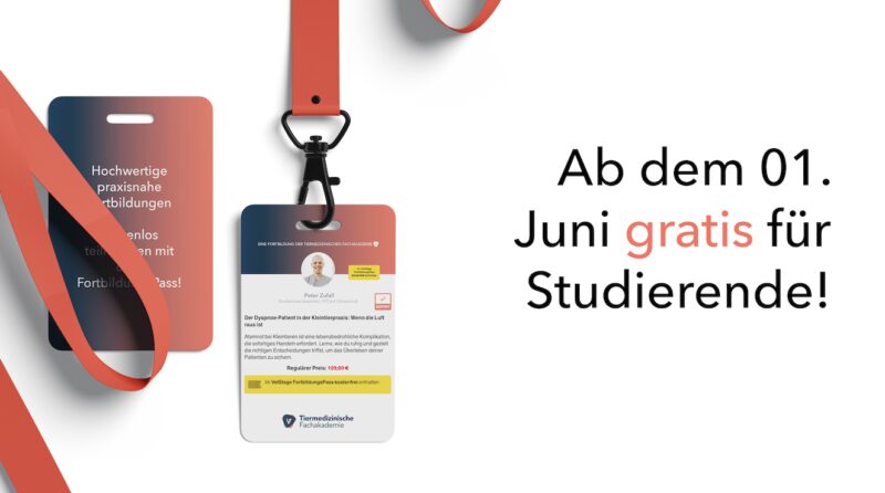 Bildschirmfoto 2025 03 20 um 16 52 12