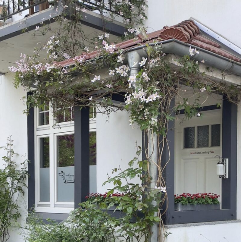 Bildschirmfoto 2025 03 21 um 15 35 52