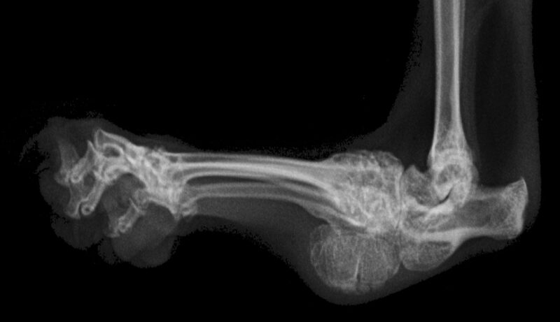 Bildschirmfoto 2025 03 23 um 18 30 24