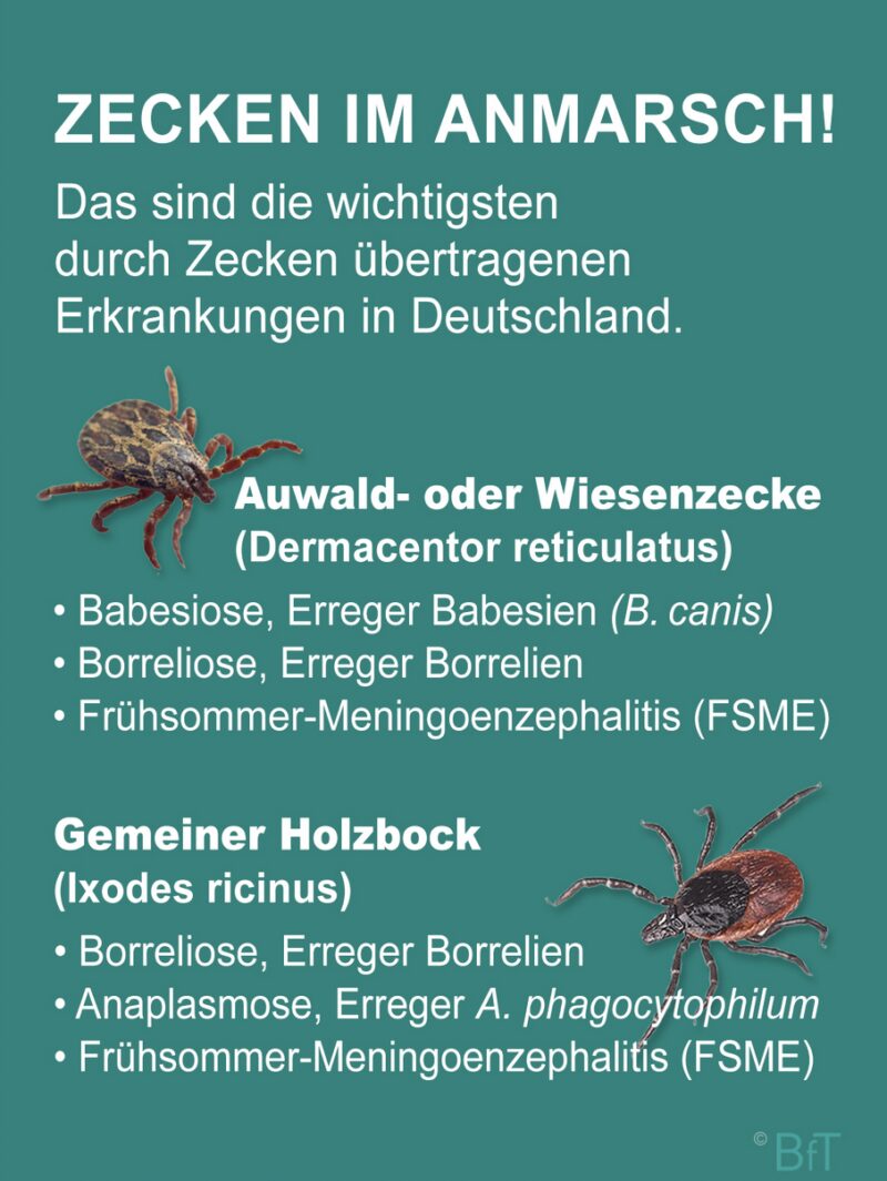 Bildschirmfoto 2025 03 24 um 09 59 53