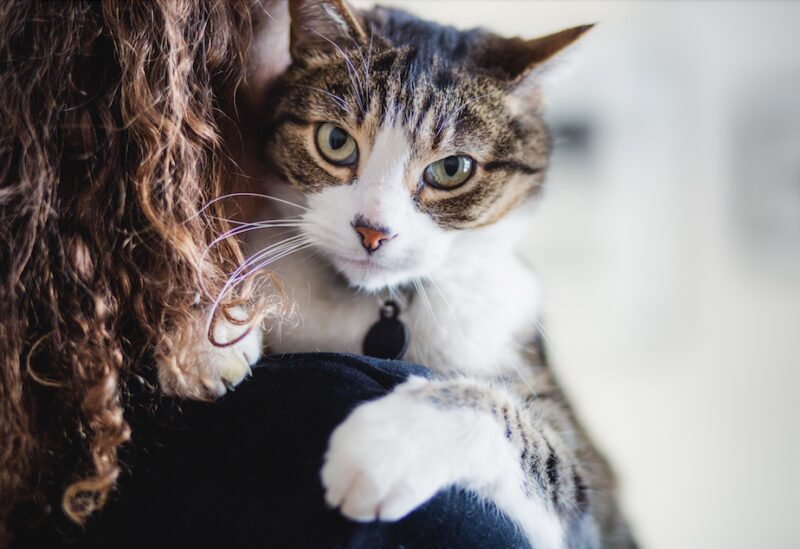 Bildschirmfoto 2025 03 24 um 13 01 35