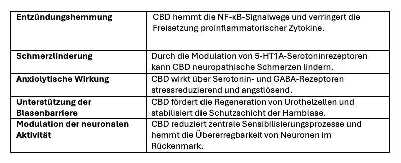 Bildschirmfoto 2025 03 24 um 13 02 56