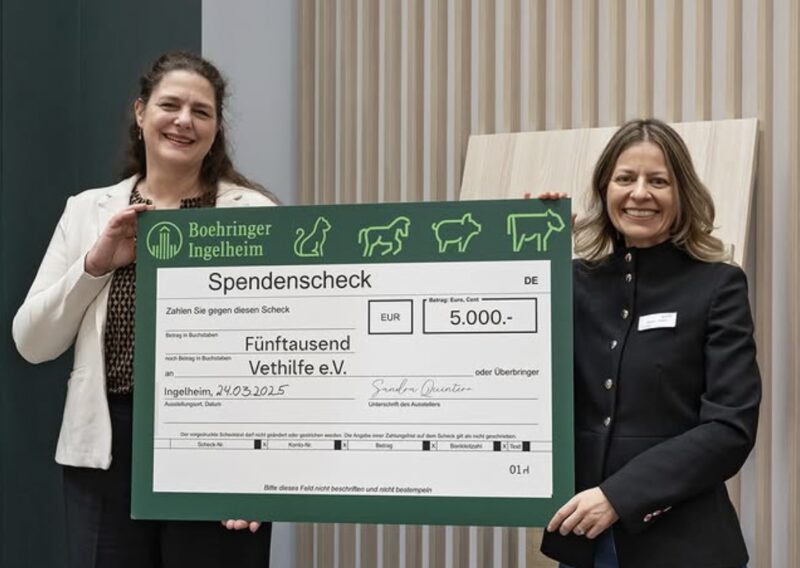 Bildschirmfoto 2025 03 24 um 13 50 50