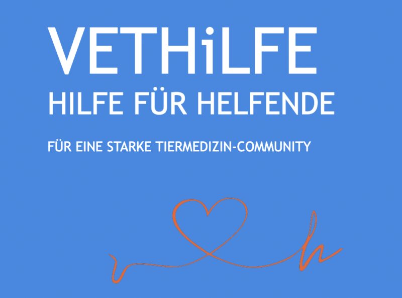 Bildschirmfoto 2025 03 24 um 13 57 16