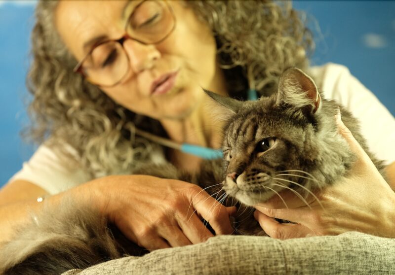 Bildschirmfoto 2025 03 24 um 15 58 26