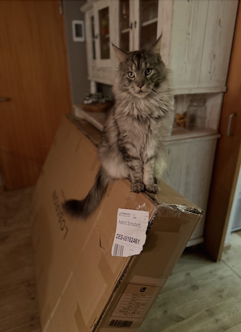 Bildschirmfoto 2025 03 24 um 15 58 13