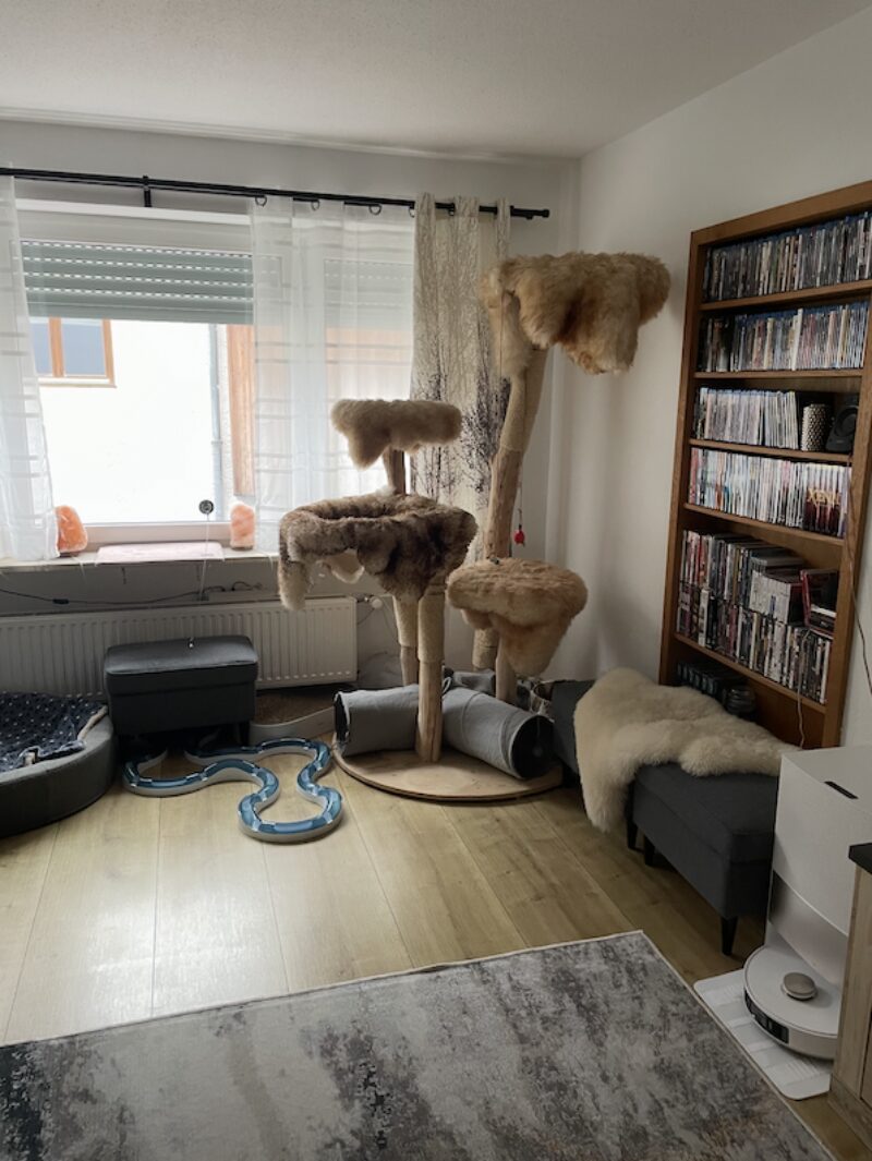 Bildschirmfoto 2025 03 24 um 15 57 58