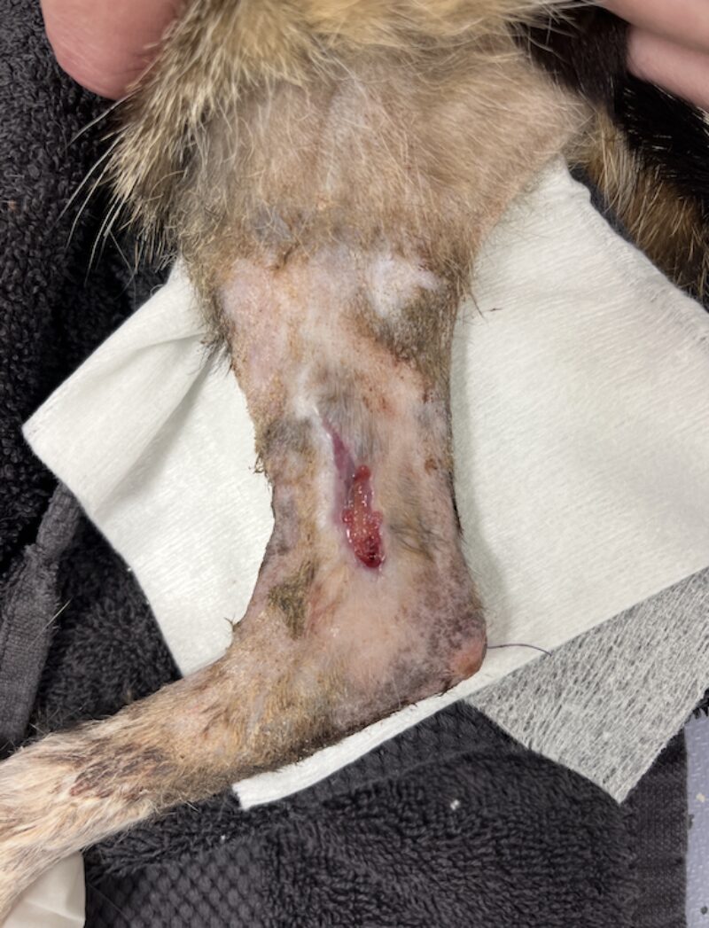 Bildschirmfoto 2025 03 25 um 18 40 13