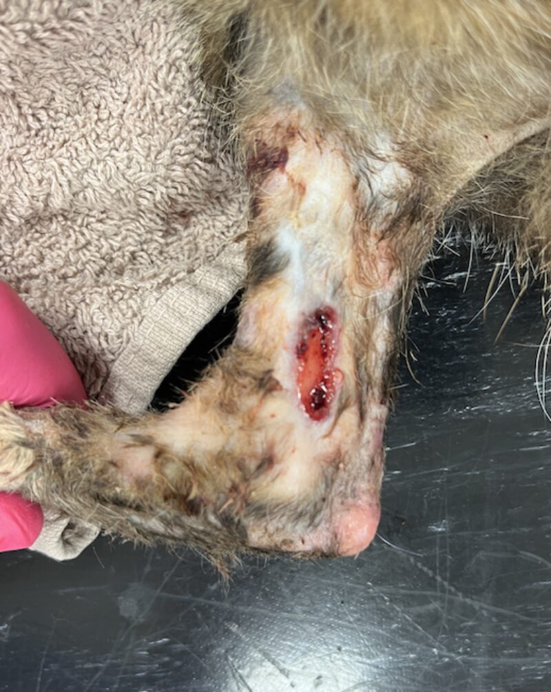 Bildschirmfoto 2025 03 25 um 18 40 34