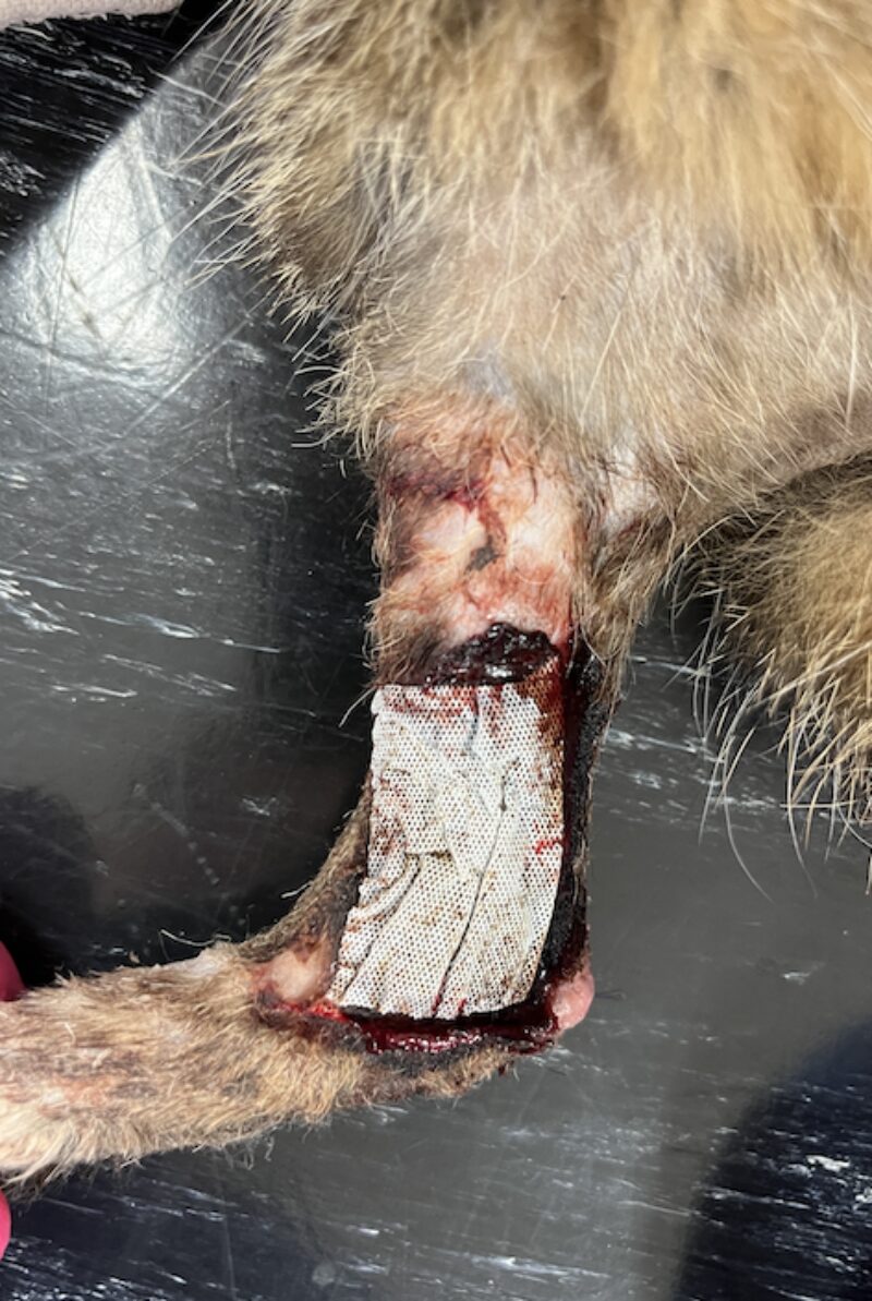 Bildschirmfoto 2025 03 25 um 18 40 47