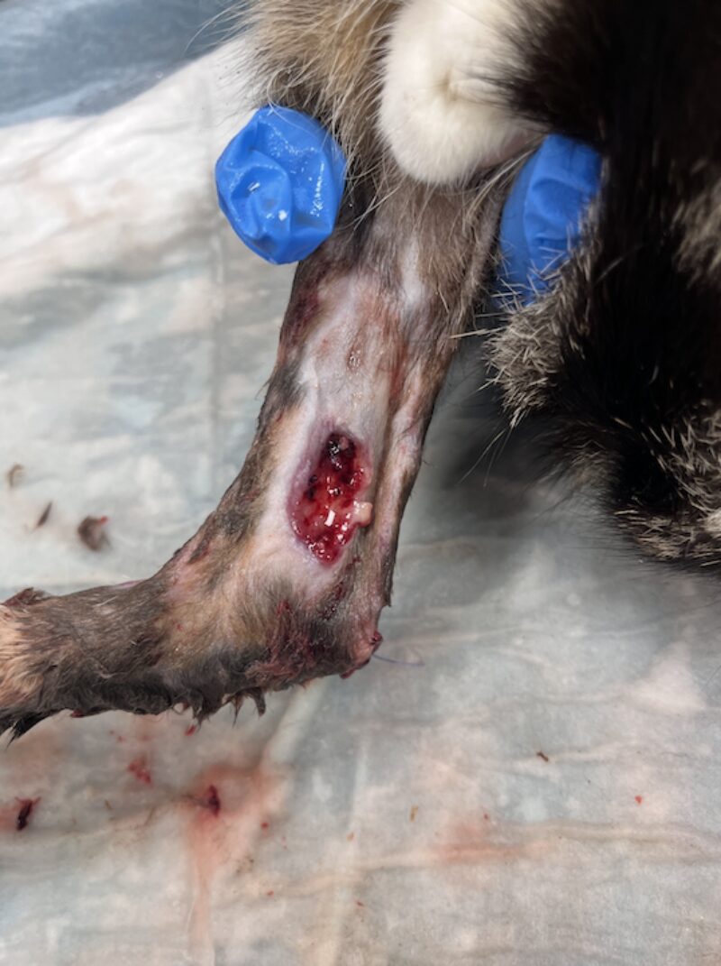 Bildschirmfoto 2025 03 25 um 18 41 05