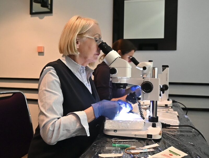 Bildschirmfoto 2025 03 26 um 18 30 04