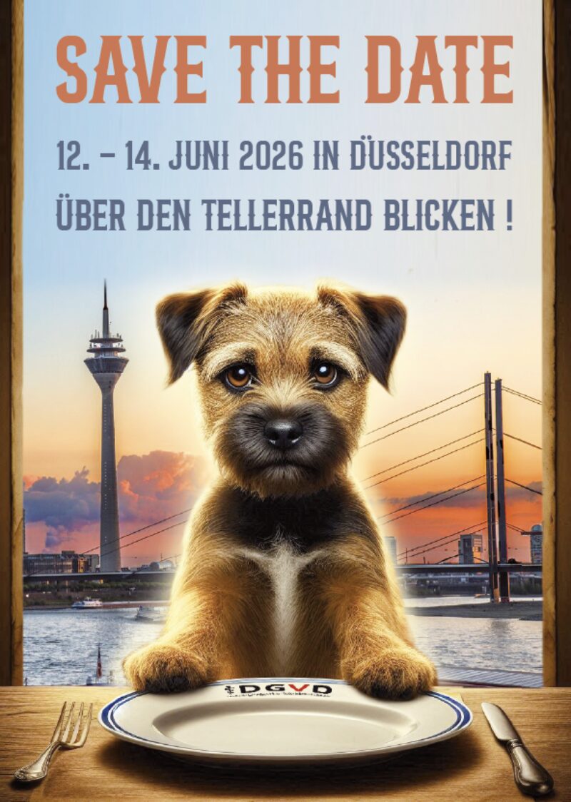 Bildschirmfoto 2025 03 27 um 16 11 44