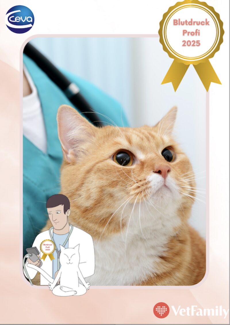 Bildschirmfoto 2025 03 28 um 15 09 59