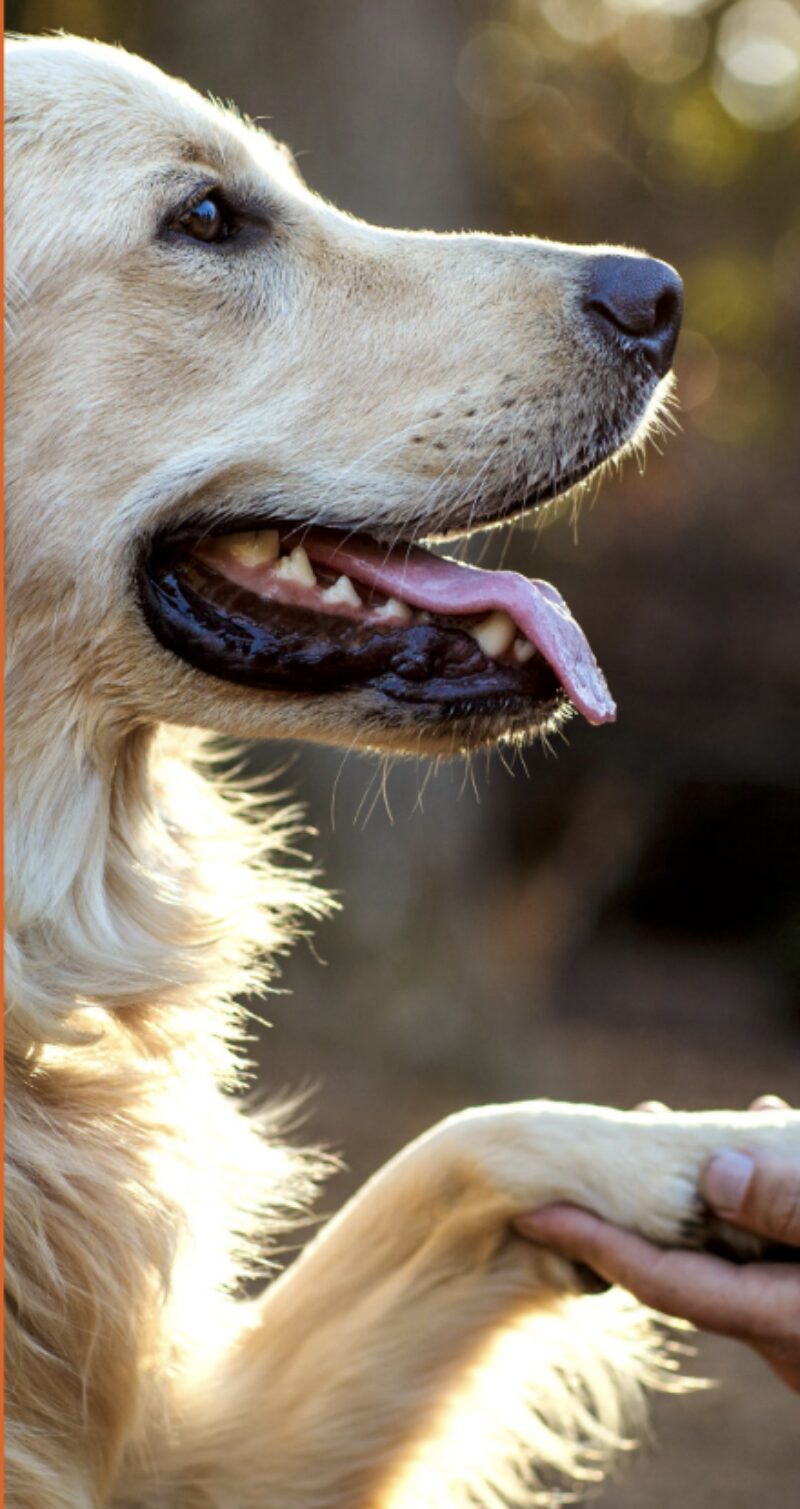 Bildschirmfoto 2025 03 31 um 13 27 07