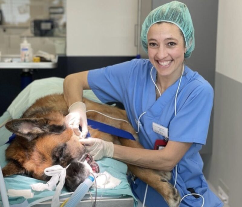 Bildschirmfoto 2025 04 08 um 10 32 53