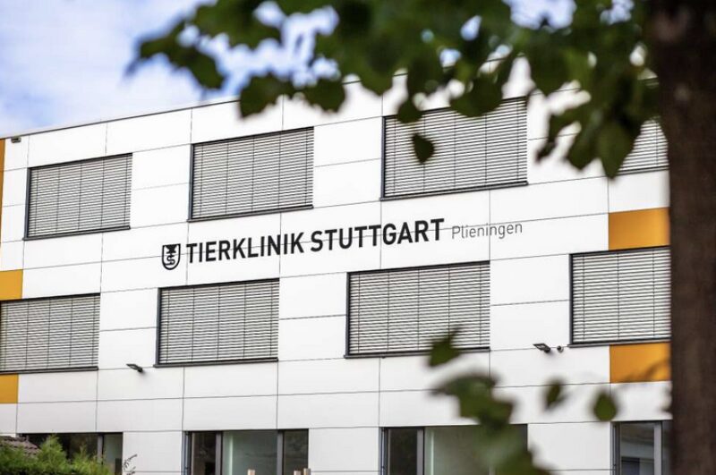 Bildschirmfoto 2025 04 08 um 10 36 32