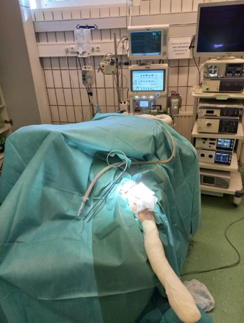 Bildschirmfoto 2025 04 10 um 14 50 44