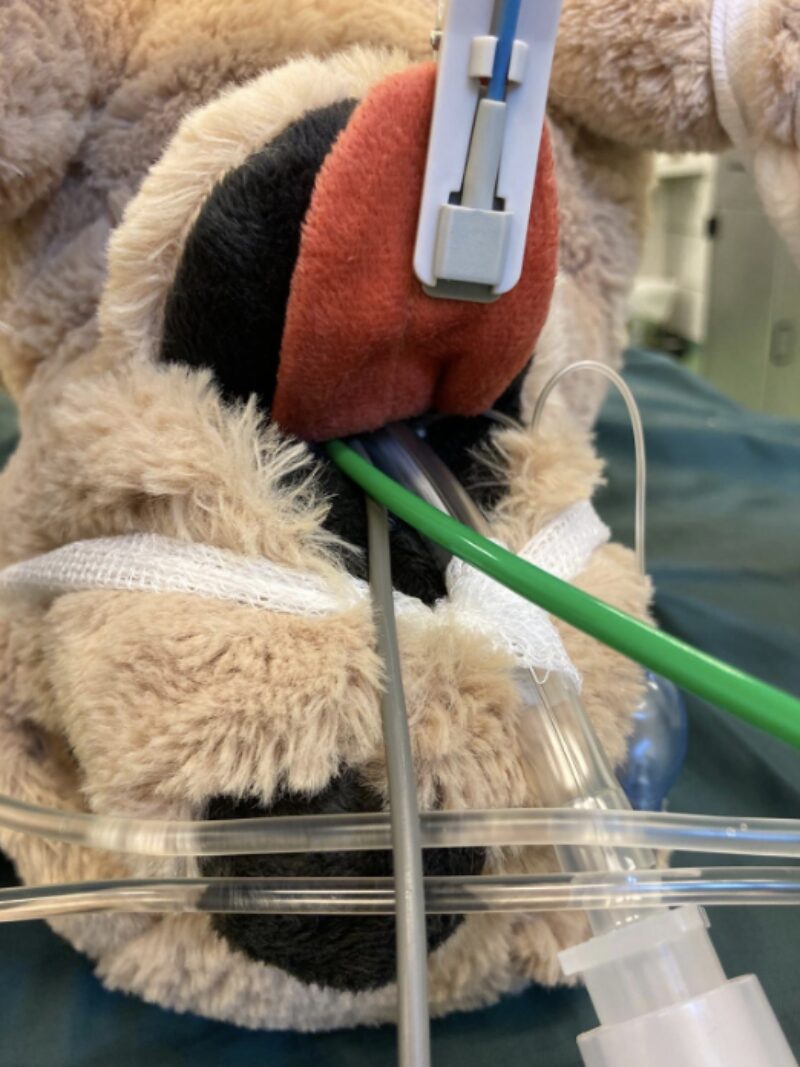 Bildschirmfoto 2025 04 10 um 14 51 31