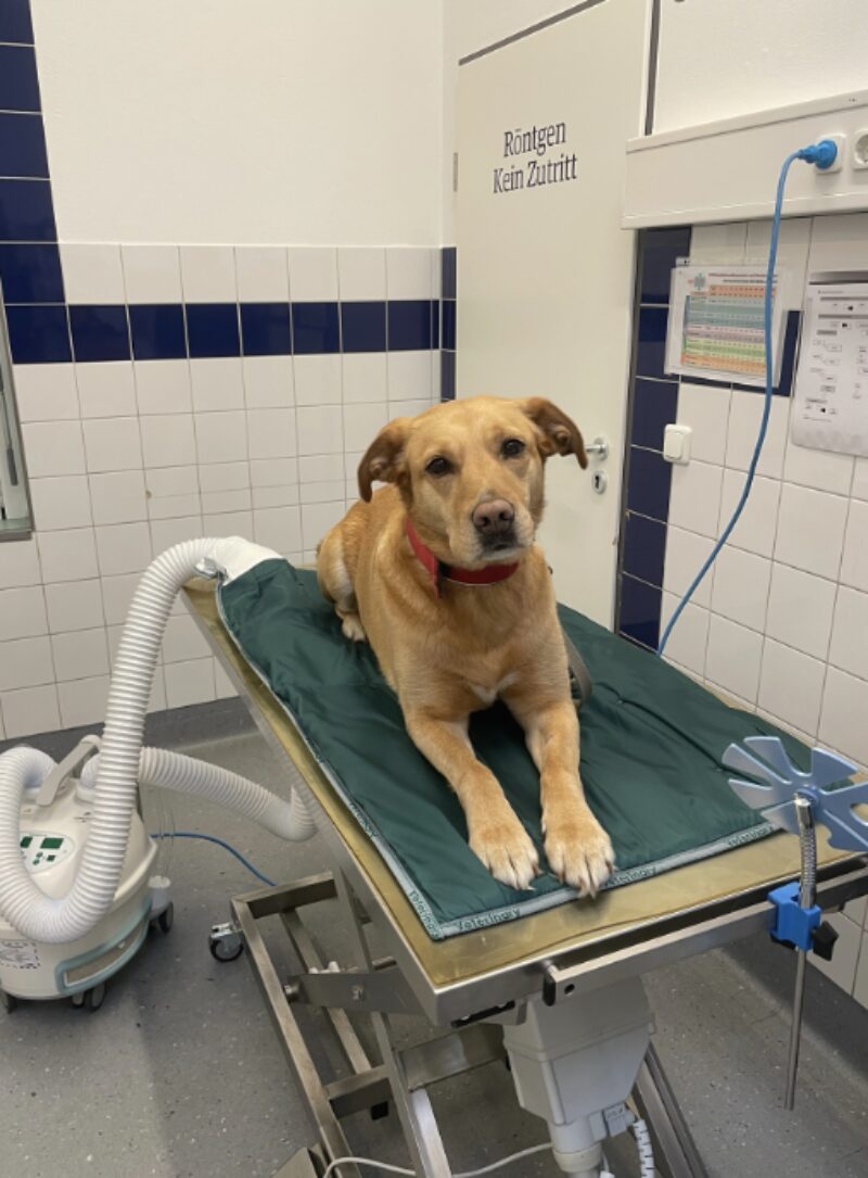 Bildschirmfoto 2025 04 10 um 14 52 07