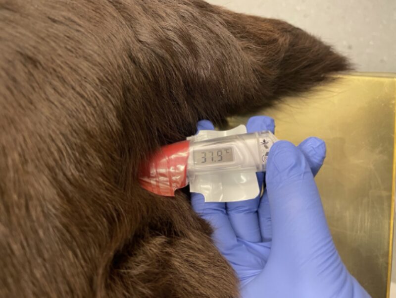 Bildschirmfoto 2025 04 10 um 14 52 44