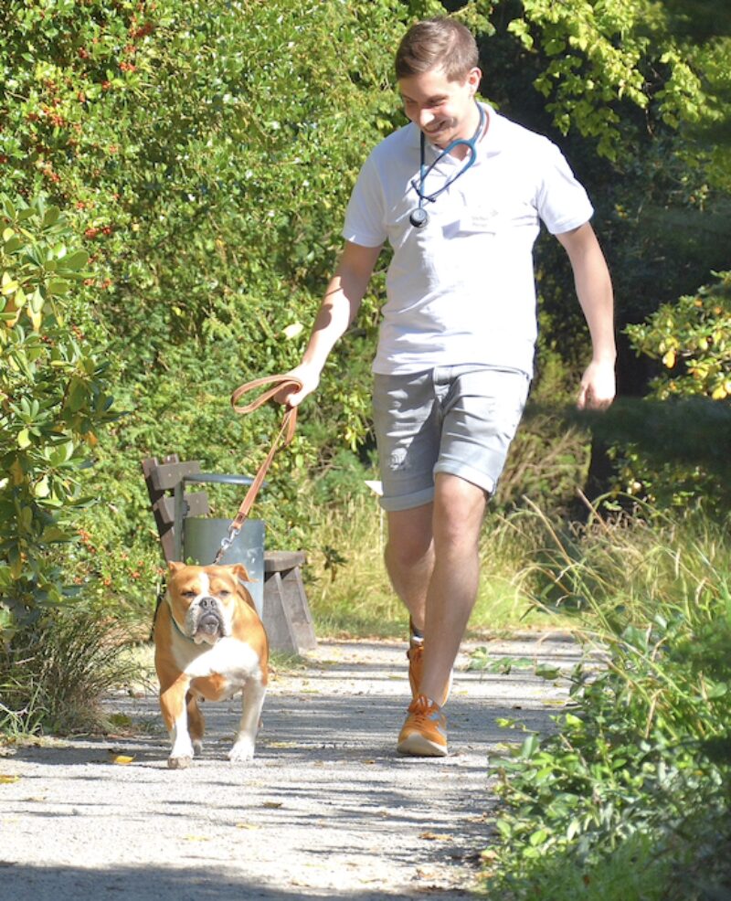 Bildschirmfoto 2025 04 10 um 18 22 31