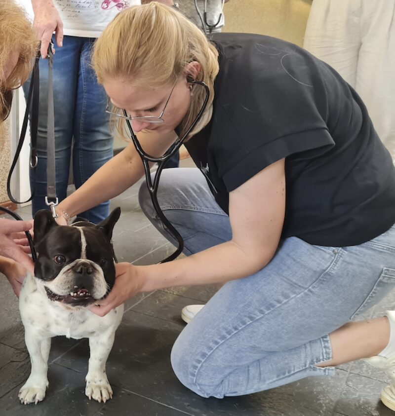 Bildschirmfoto 2025 04 10 um 18 22 15