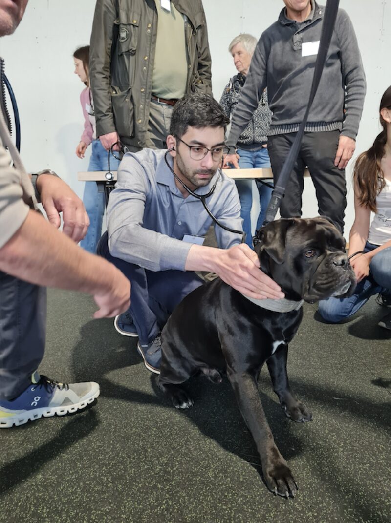 Bildschirmfoto 2025 04 10 um 18 22 02