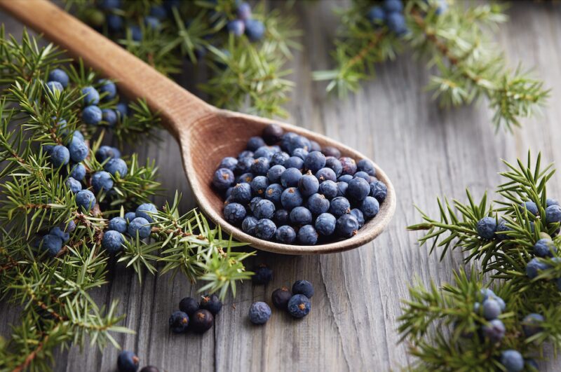 Bildschirmfoto 2025 04 14 um 12 31 15