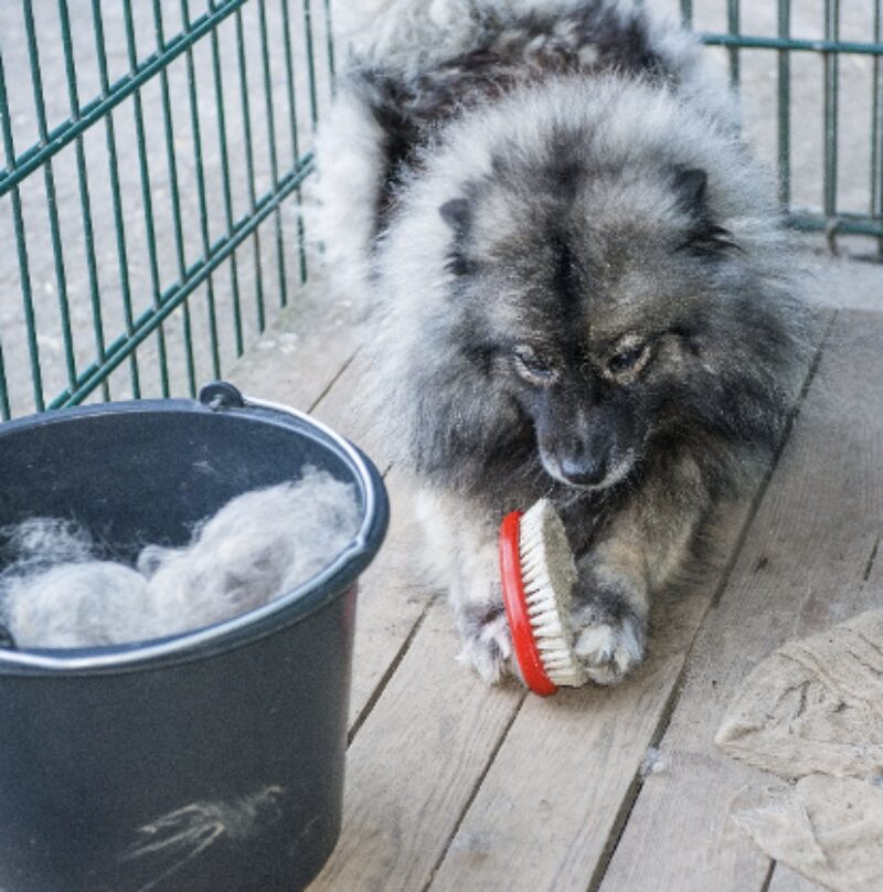 Bildschirmfoto 2025 04 14 um 12 59 45