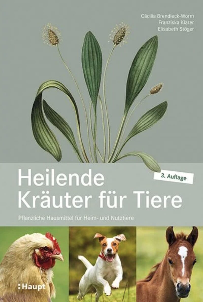 Bildschirmfoto 2025 04 14 um 13 20 02