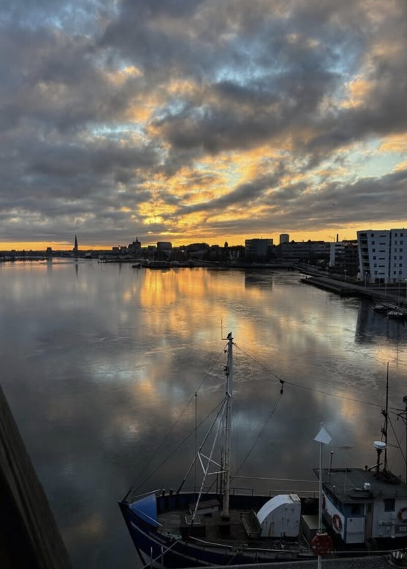 Bildschirmfoto 2025 04 14 um 15 11 02