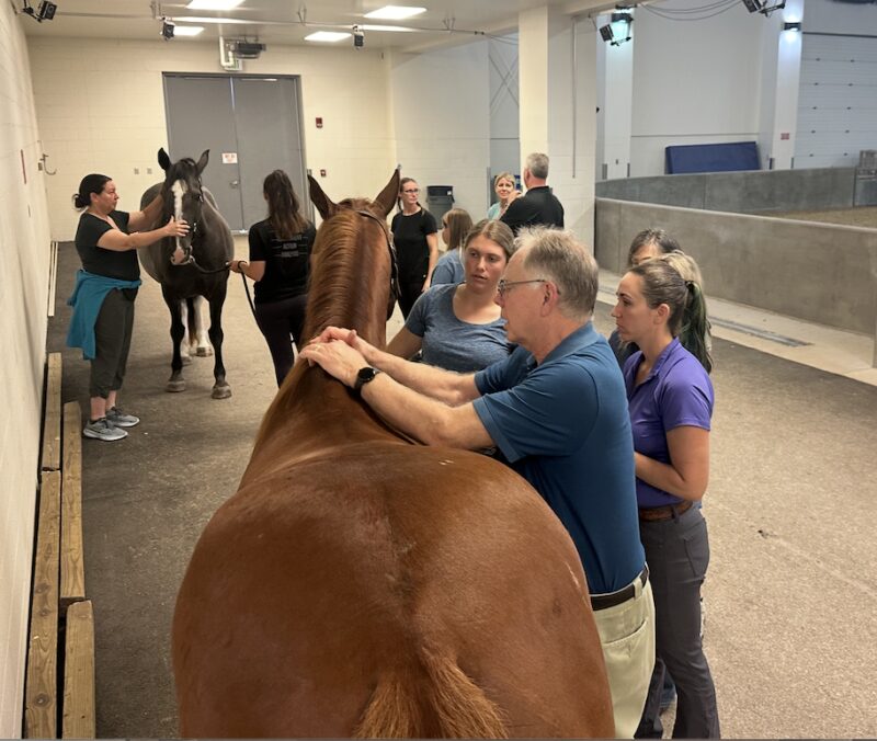 Bildschirmfoto 2025 04 15 um 13 56 39