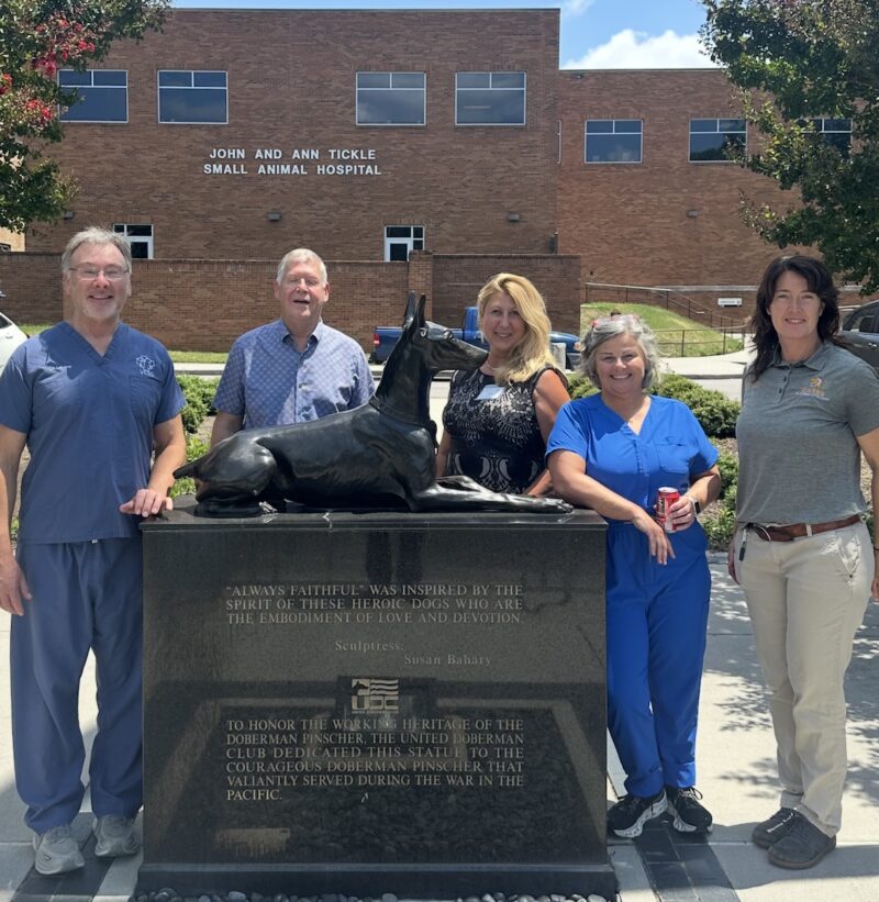 Bildschirmfoto 2025 04 15 um 16 19 12