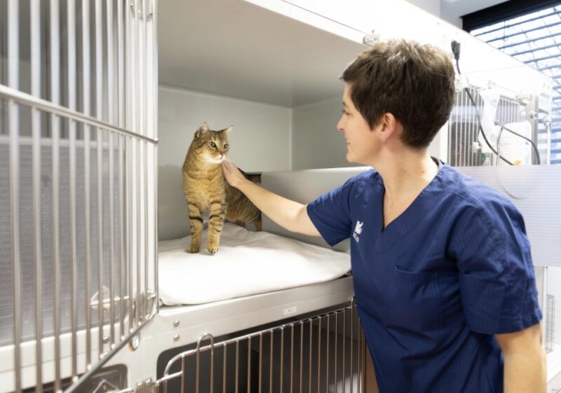 Bildschirmfoto 2025 04 16 um 12 41 22