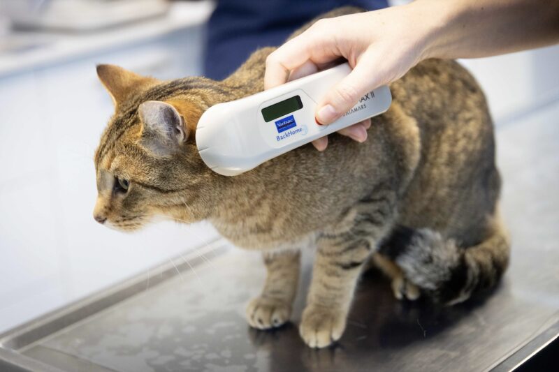 Bildschirmfoto 2025 04 16 um 12 41 02