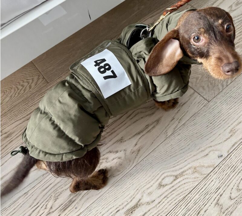 Bildschirmfoto 2025 04 16 um 15 53 08