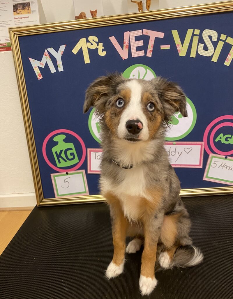 Bildschirmfoto 2025 04 17 um 17 00 47