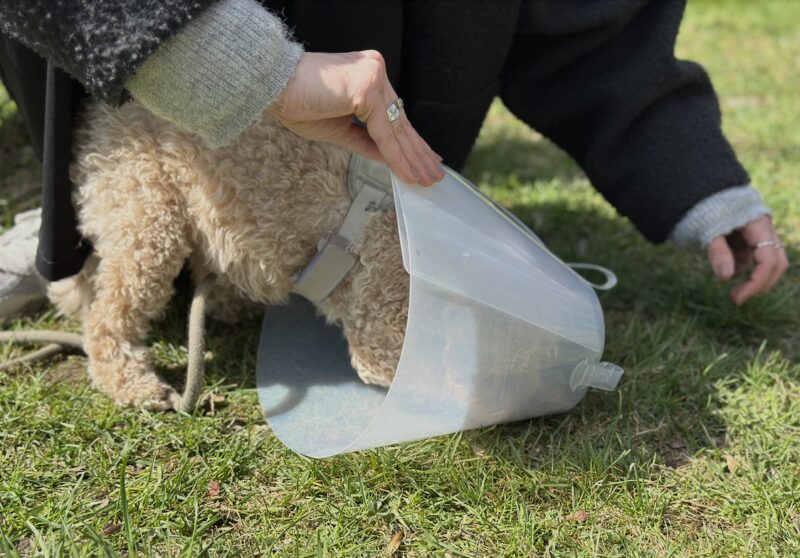 Bildschirmfoto 2025 04 17 um 17 00 32