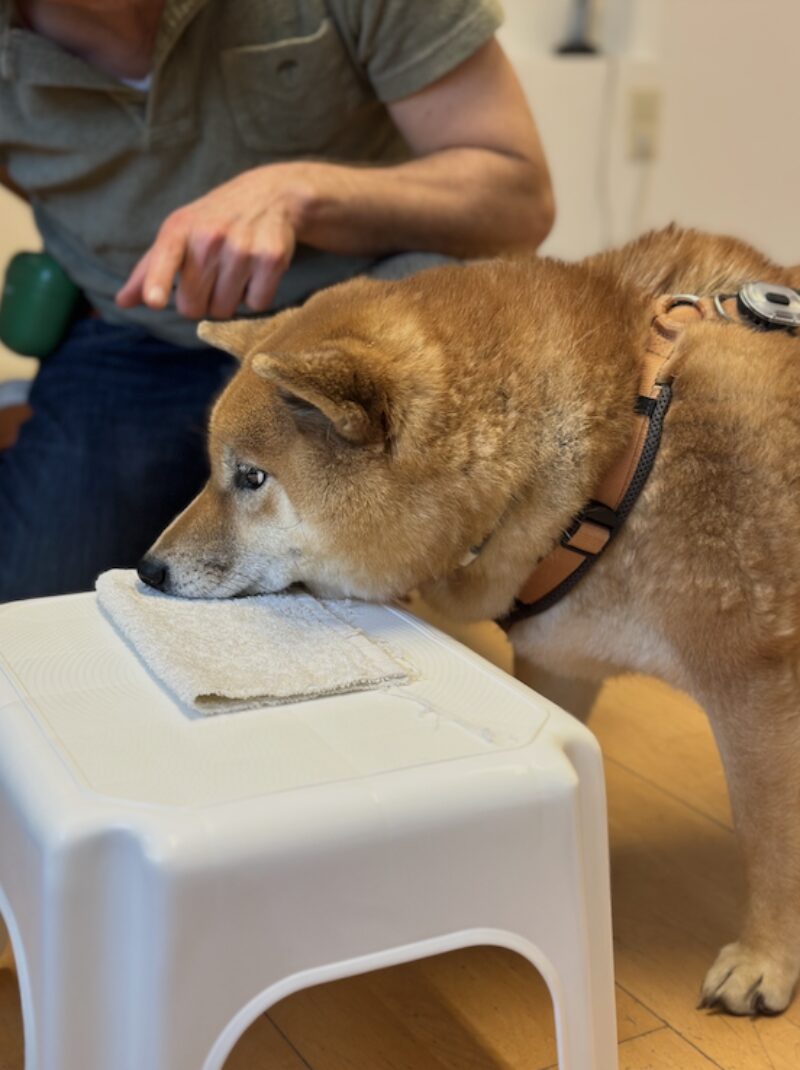 Bildschirmfoto 2025 04 17 um 16 59 43