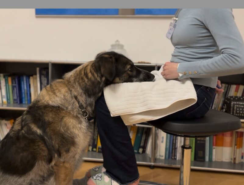 Bildschirmfoto 2025 04 17 um 16 59 28