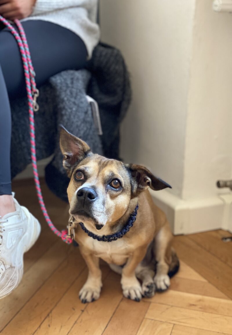 Bildschirmfoto 2025 04 17 um 16 59 09