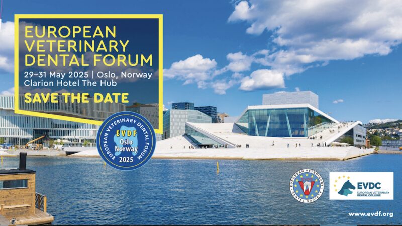 Bildschirmfoto 2025 04 21 um 16 37 18